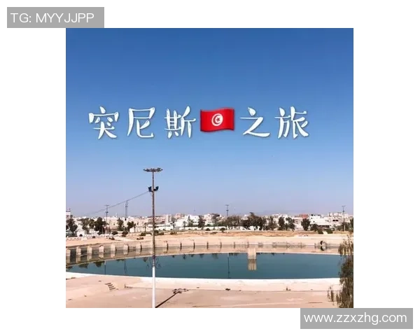6月2日突尼斯与土耳其精彩对决比赛录像回顾与分析